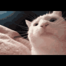 League Vibes: Playoff&nbsp;Addition